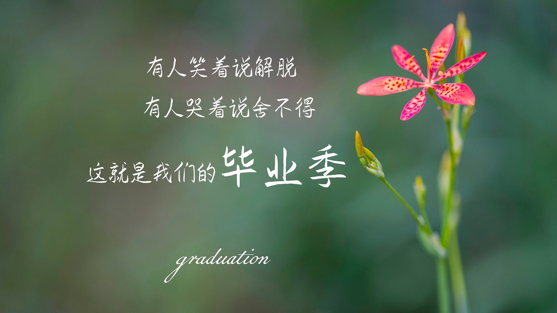 Jiuyou-绝地求生欧洲邀请赛决赛现场火爆，精彩比拼不断，绝地求生欧洲赛区冠军