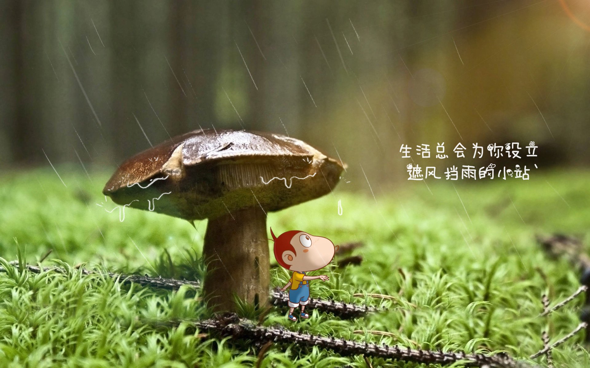 九游网游官网-LCS选手个人数据全面分析，lcs冠军是谁