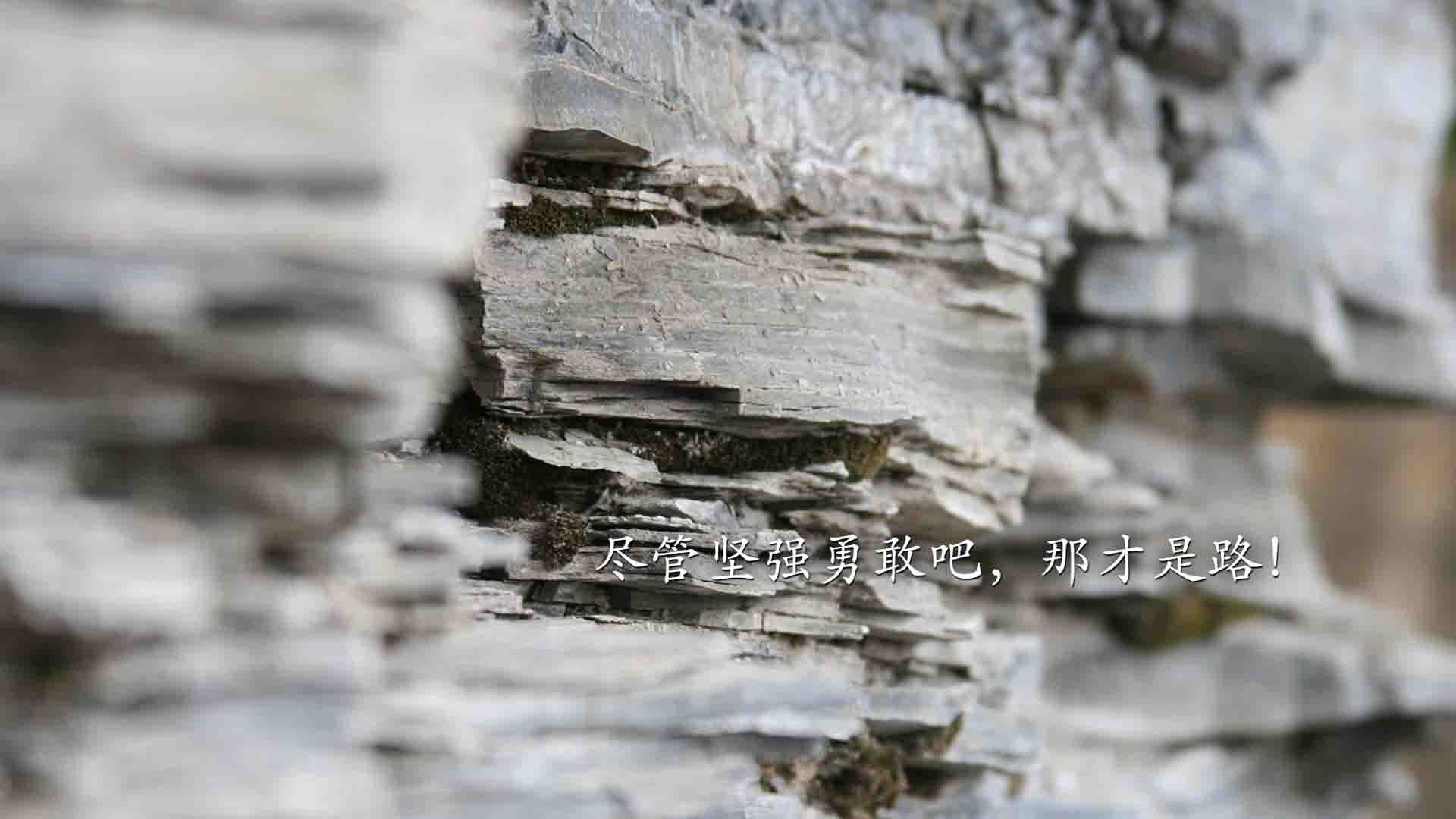 九游电脑版-沙特球队巧夺胜利，实力备受认可，沙特队球员名单