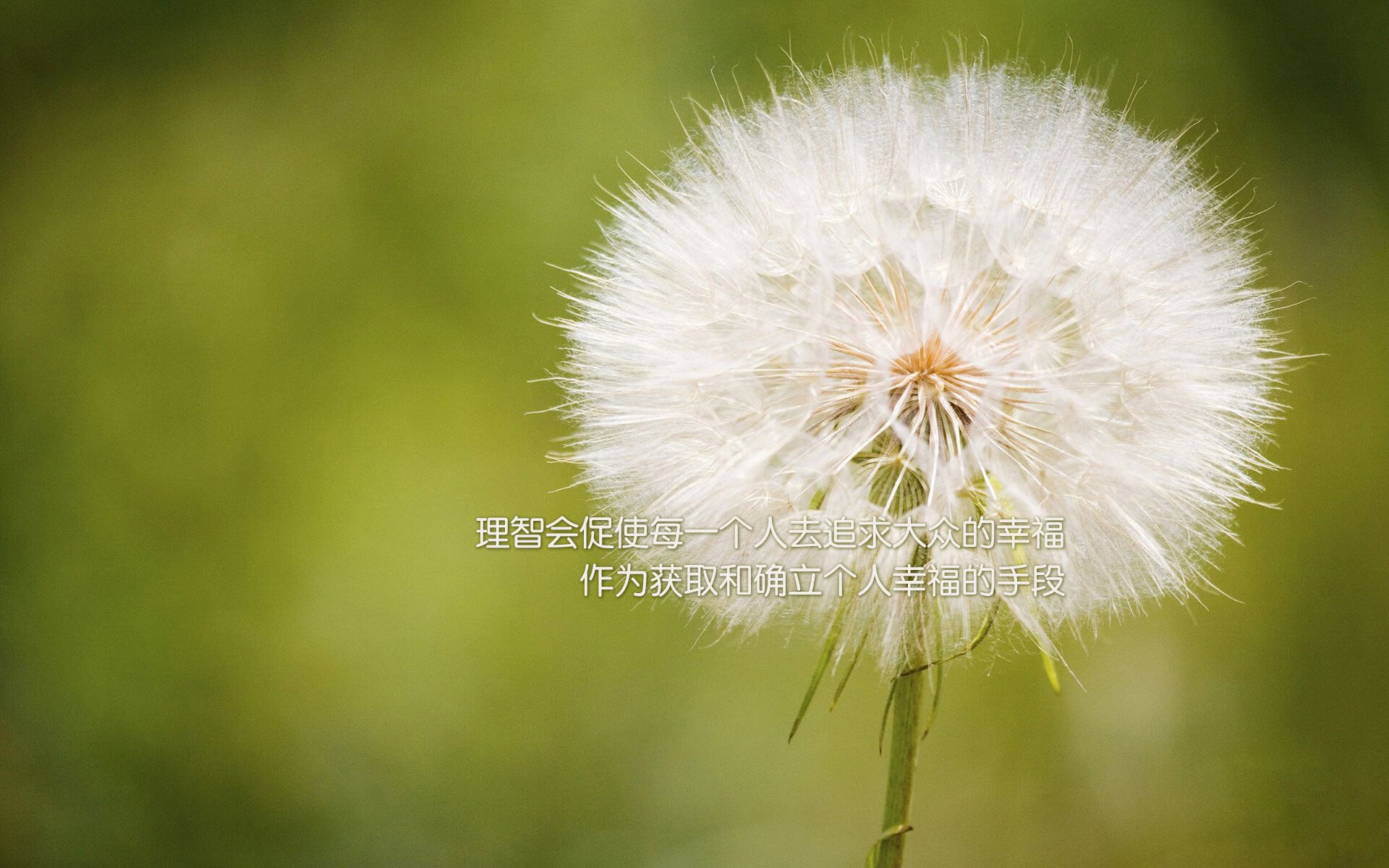 科威特女足遭遇两连败，小组出局，科威特足球运动员