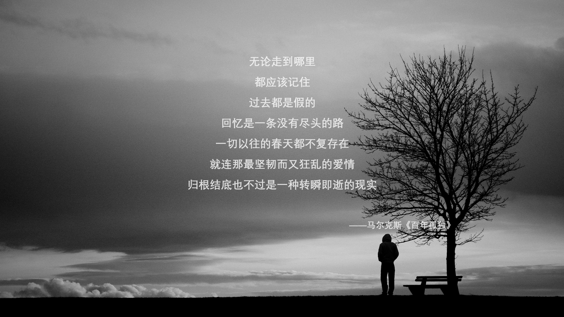 维罗纳不敌桑普多利亚，遭遇连败，维罗纳ds