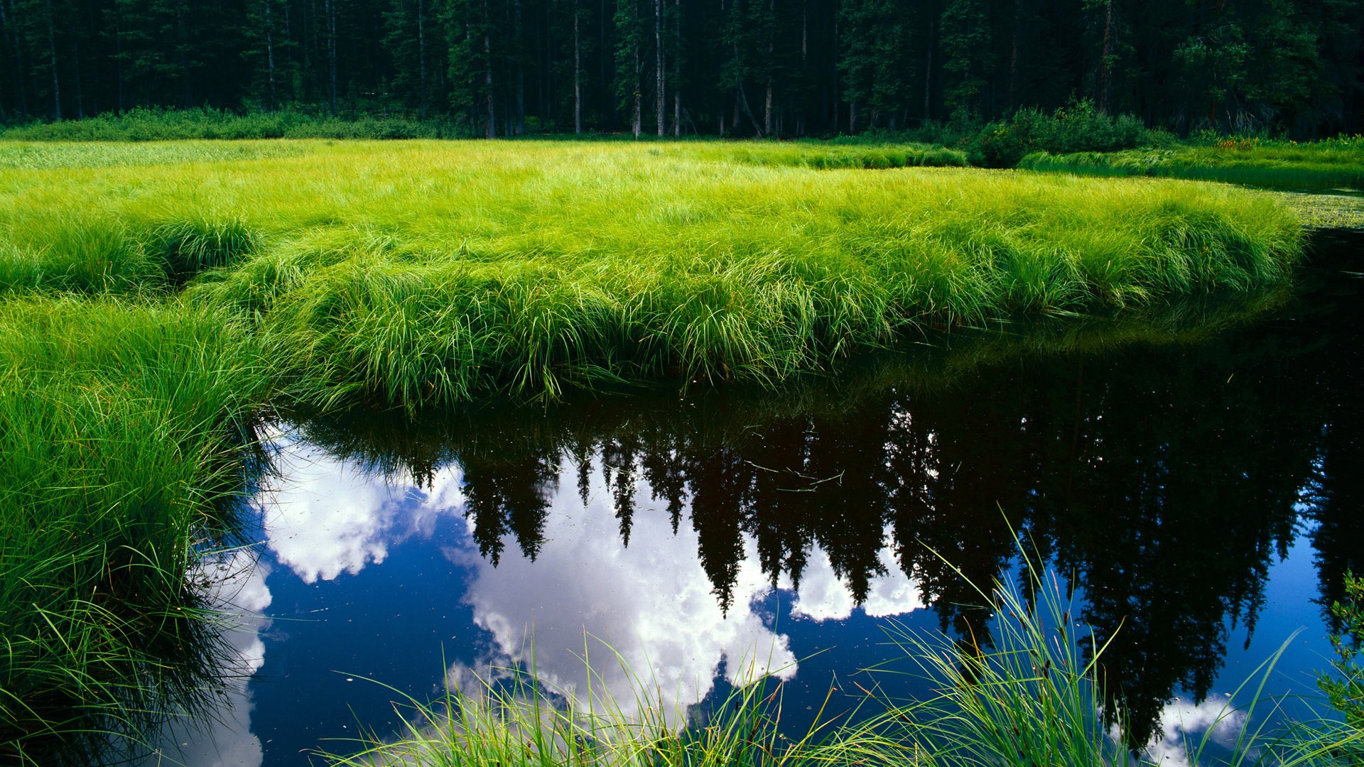 JIU YOU GAME-德甲青训引入情绪自调控机制提升逆境反应质量的实验研究