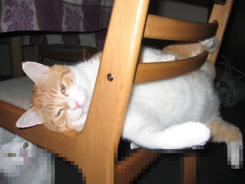 前场抢断成功是否决定高压战术有效性,篮球前场抢断后14秒还是24秒