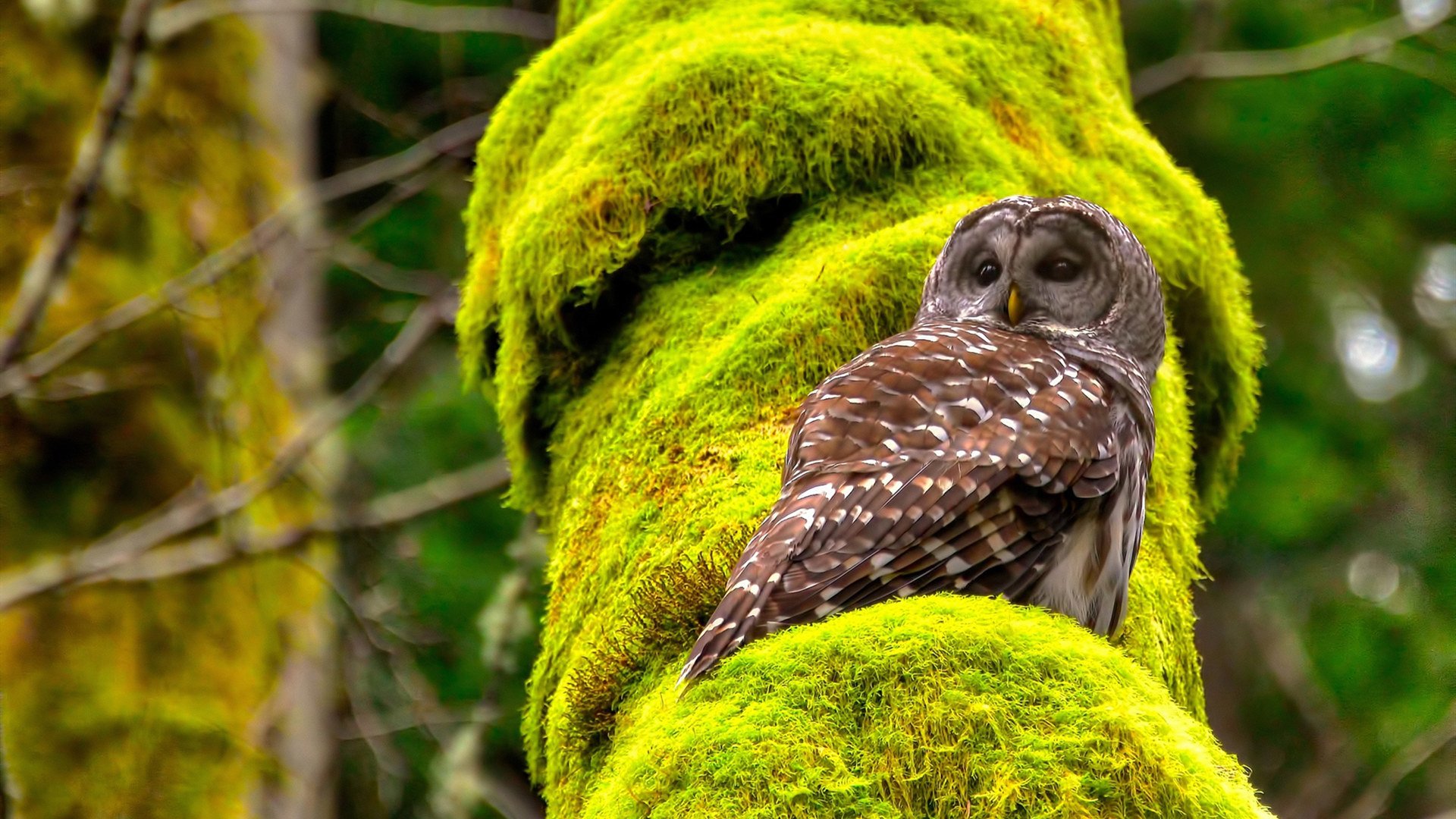 九游网-世界杯战术大爆炸：变化多端，引领足球新潮！，世界杯打仗