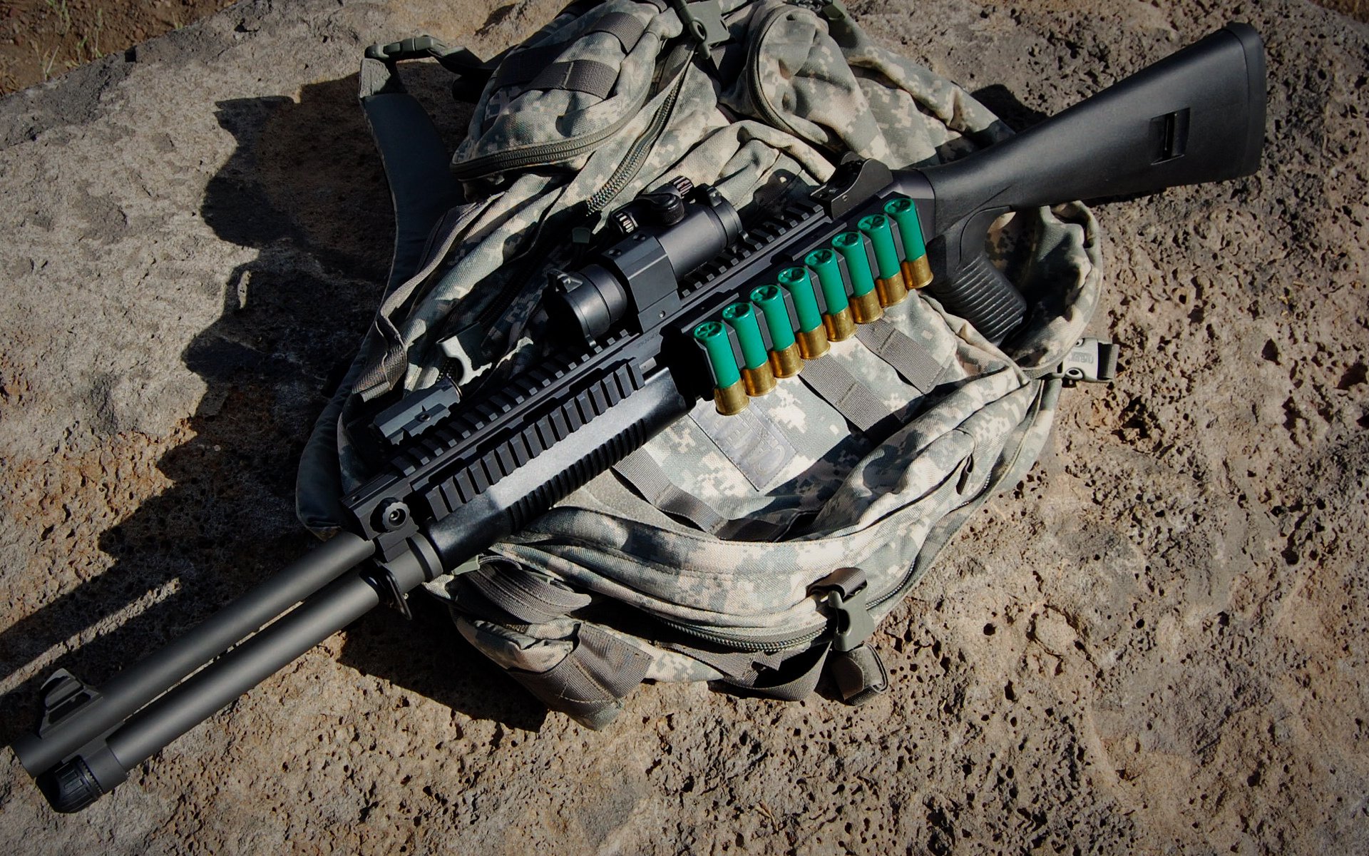 托里·哈斯克女子100米自由泳赛场新星