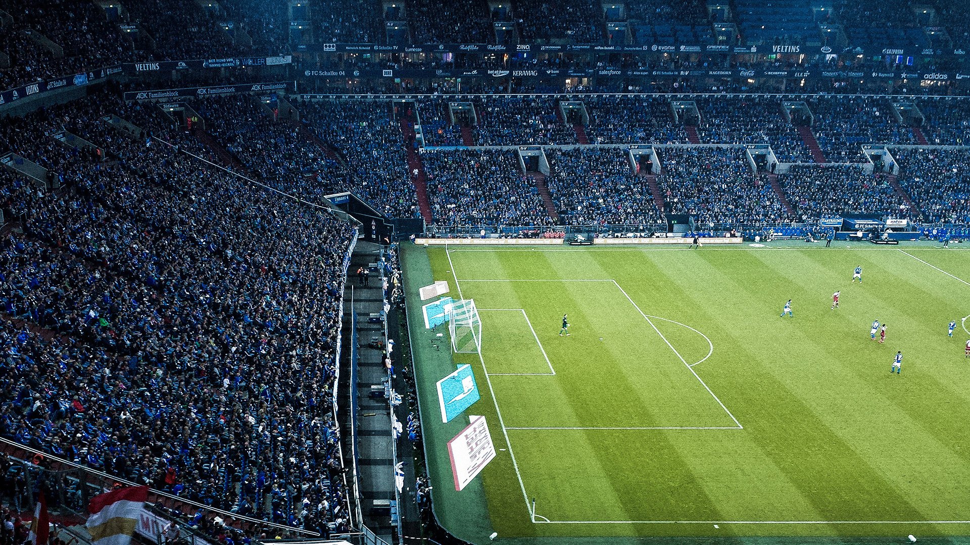 职业联赛球员状态跟踪平台未实现共享